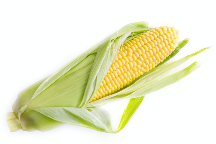 Health Benefits of Corns