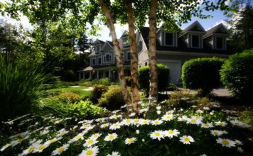 How to Make your Home and Garden Attractive on a Low Budget How to Make your Home and Garden Attractive on a Low Budget
