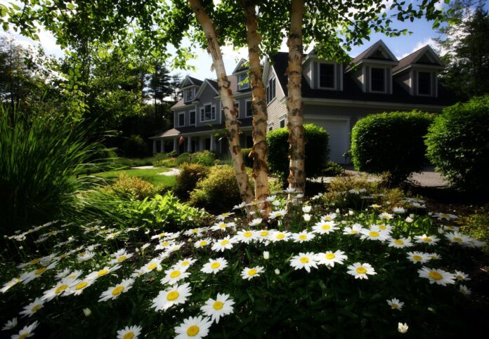 How to Make your Home and Garden Attractive on a Low Budget