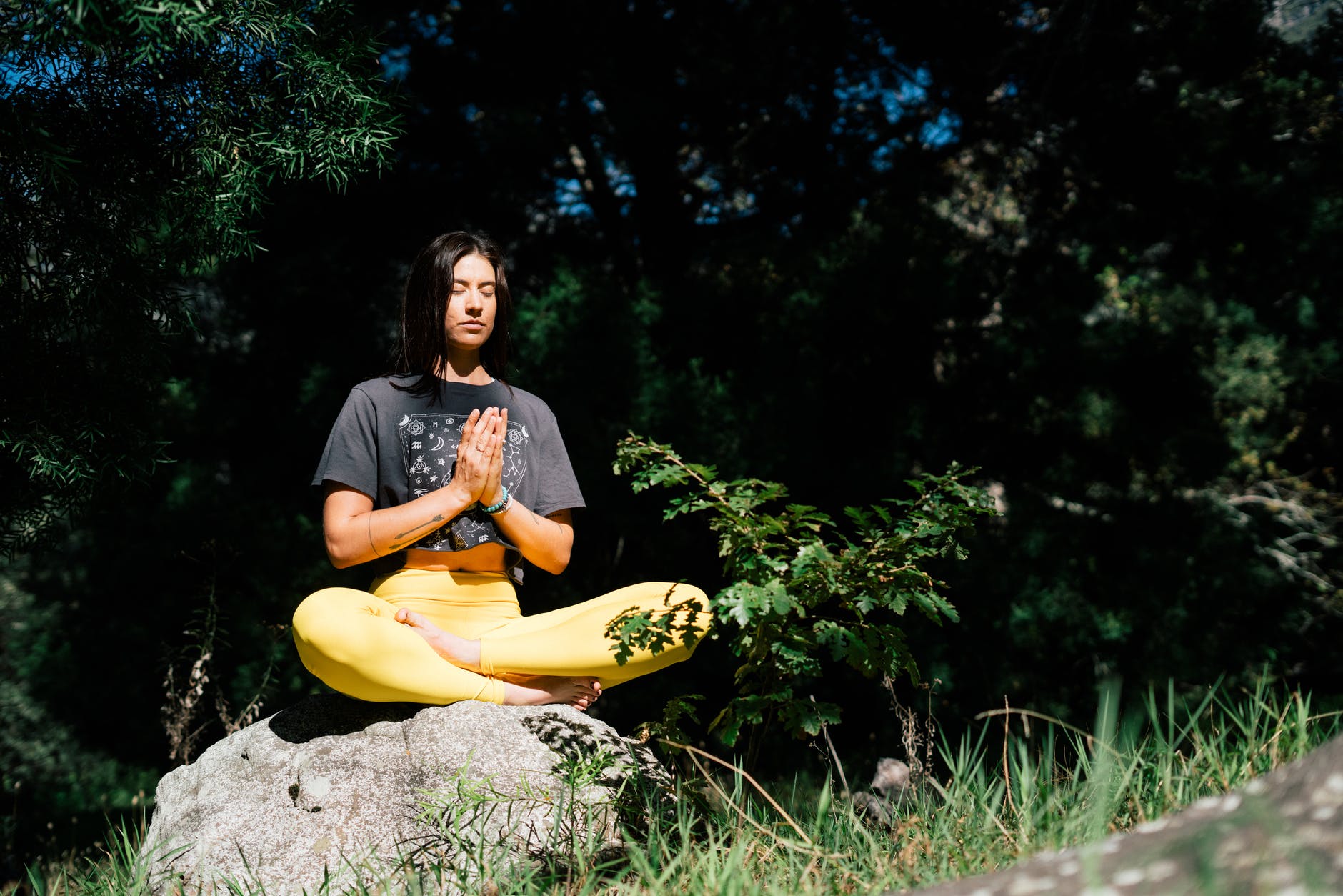 Dynamic Meditation for Healthy Living