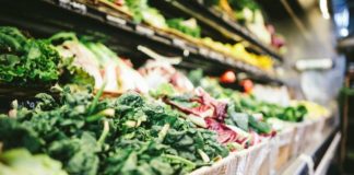 Top 7 Foods for Your Brain Top 7 Foods for Your Brain