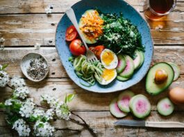 What is the Healthiest Diet for Humans