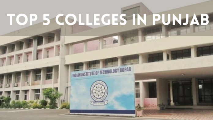 Top 5 Colleges in Punjab