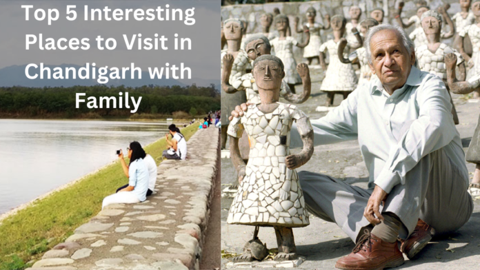 Top 5 Interesting Places to Visit in Chandigarh with Family